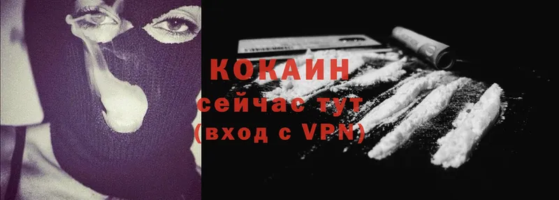 Cocaine 99%  мега как войти  Райчихинск 